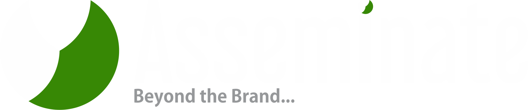 Asseminate Solutions Private Limited Logo